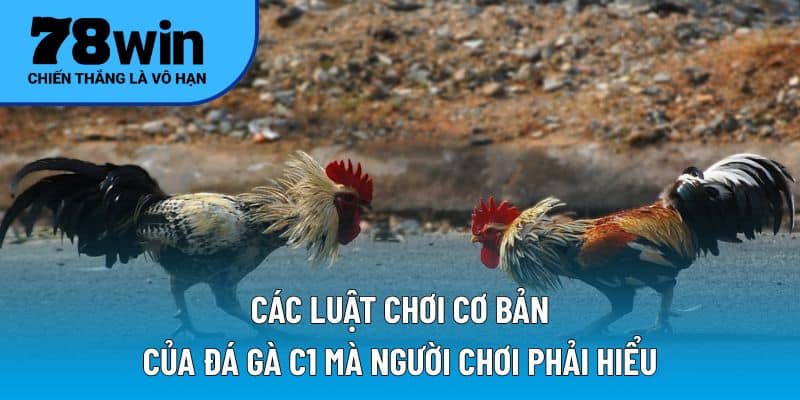 Các luật chơi cơ bản của đá gà C1 mà người chơi phải hiểu