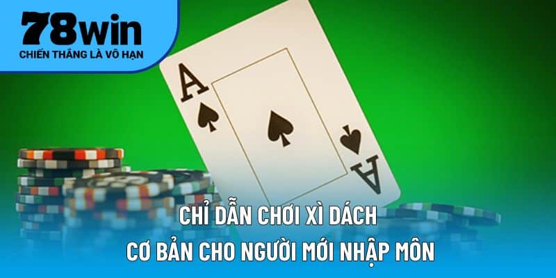 Chỉ dẫn chơi xì dách cơ bản cho người mới nhập môn